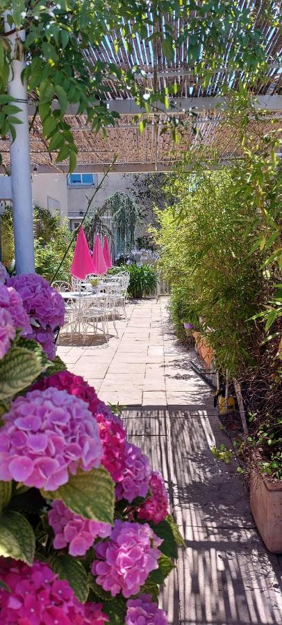 La Belle Vie B&B Montreal  ภายนอก รูปภาพ